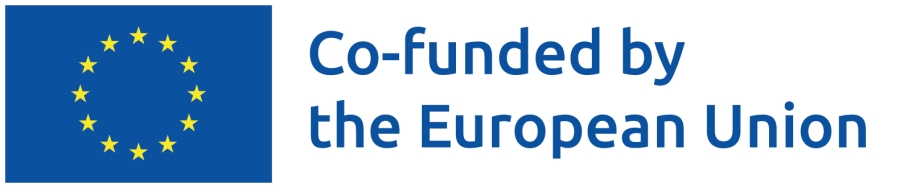 logo co funded by EU