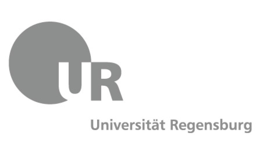 logo cirses